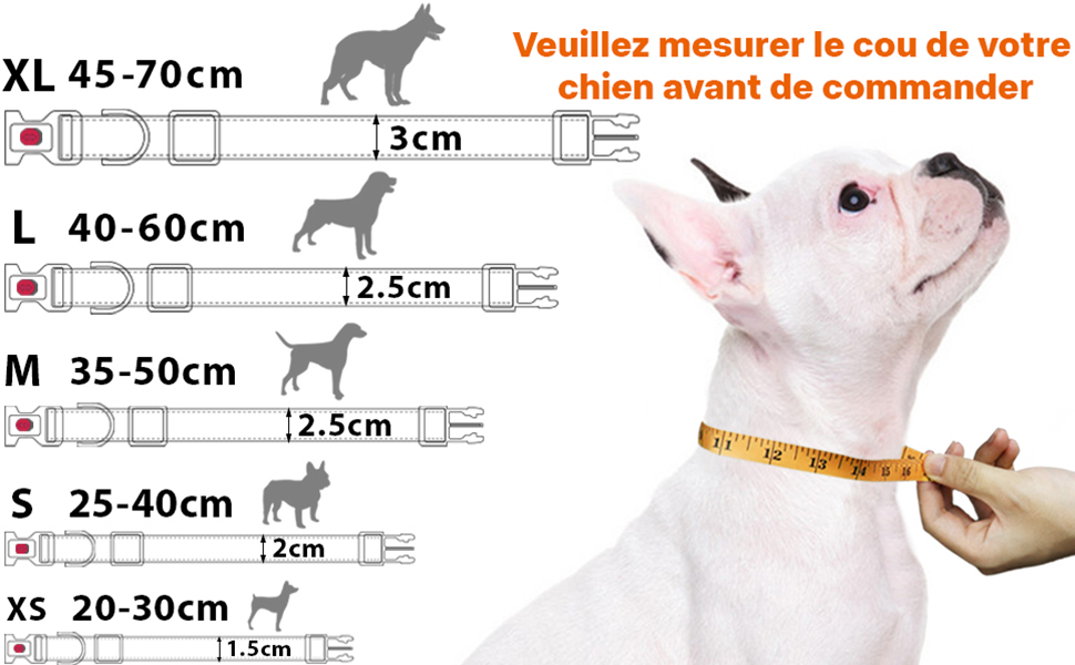 collier de dressage pour chien