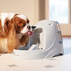 PetSafe filtre à charbon