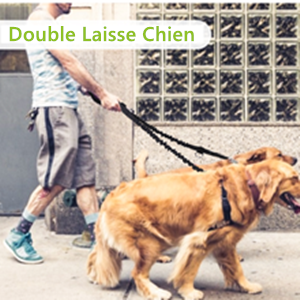 laisse chien main libre