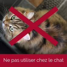 ne pas utiliser chez le chat