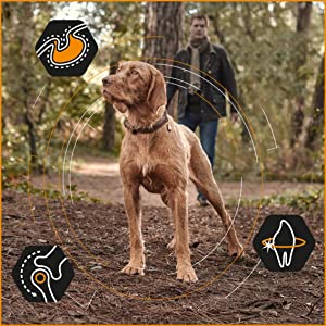 ProPlan chien croquettes optibalance 