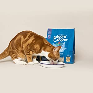 croquettes chat senior, nourriture chat senior, nourriture naturelle, croquettes sans cereales