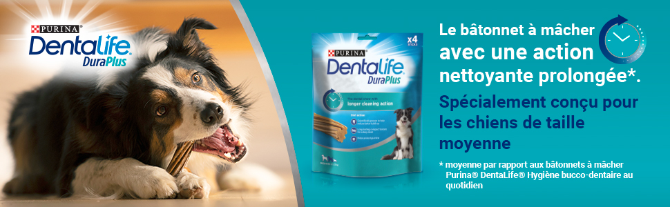 duraplus; moyenne;dentalife