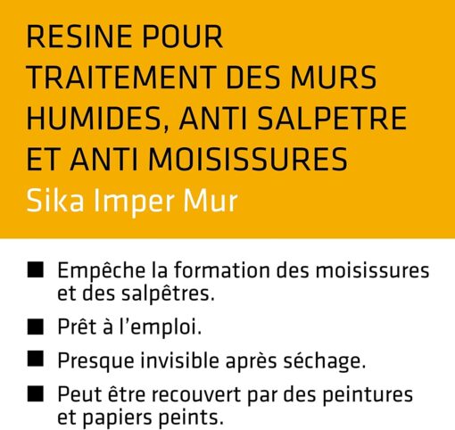 Rubson Vaporisateur Anti-Moisissures, Spray nettoyant puissant qui élimine la moisissure en 10 minutes. 500 ml & STARWAX Brosse – Image 13