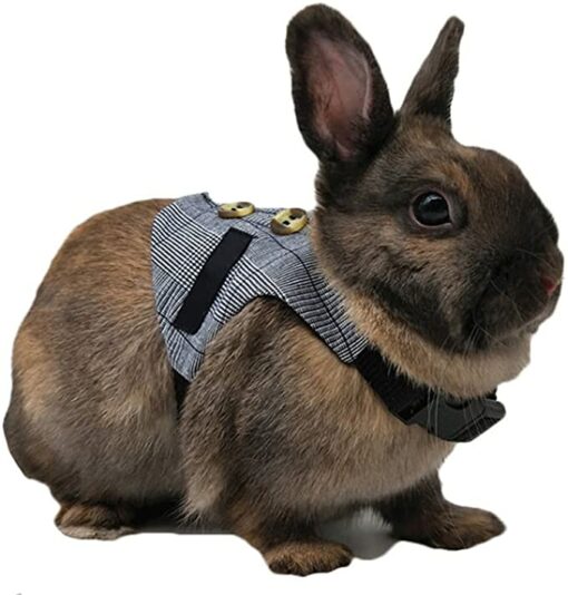 Tnfeeon Lapin Harnais Respirant Doux avec Laisse, Lapin Animal Domestique Petit Animal Marche Harnais Gilet Laisse Laisse(S) – Image 4