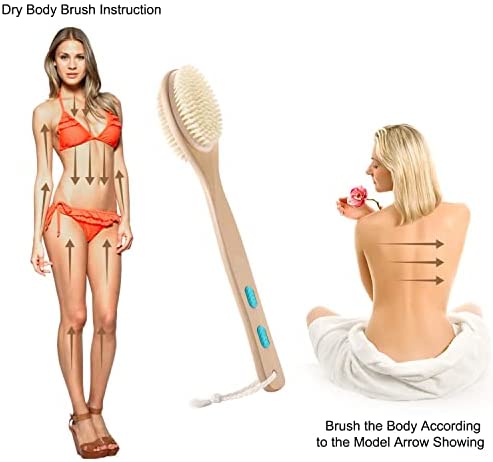 Vantic Brosse pour Corps Humide Beige, 17 inches long, 1 Unité – Image 6