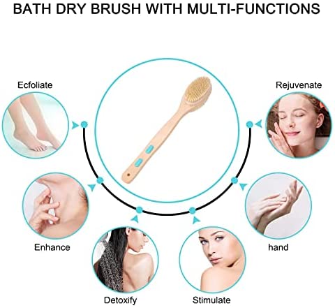 Vantic Brosse pour Corps Humide Beige, 17 inches long, 1 Unité – Image 3