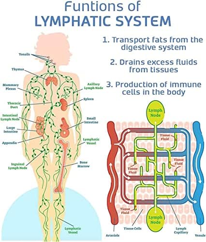 SLIMDEX Lymphatic Drainage Device for Neck, SLIMORY Ultrasonic Lymphatic Soothing Neck Instrument, SLIMORY Ultrasonic Lymphatic Soothing Neck Instrument to Lose Weight (Black) – Image 6