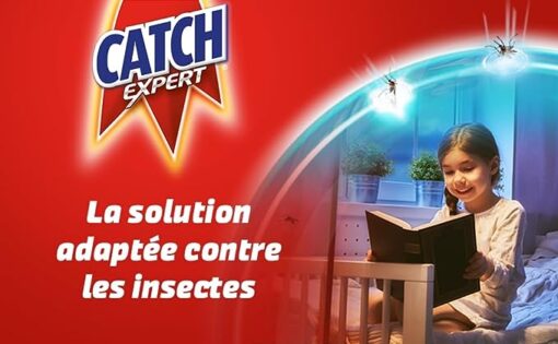 Catch Expert Cafards Blattes – Seringue (10g) – Anti-Cafards & Blattes – Gel Appât idéal recoins difficiles – Image 2