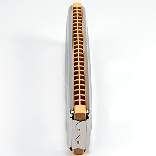 Harmonica HOHNER Echo Harp 96 en Tonalité C/G – Image 3