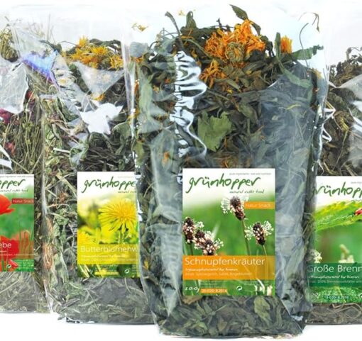 grünhopper Lot de 4 herbes sauvages - 470 g