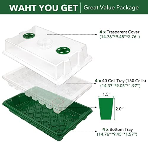 YAUNGEL Mini Serre pour Plantes, XL Intérieure Plateau Semis avec couvercles rehaussés, 38x24x12 CM Bac à semis Pépinière Boîte de Culture Durables, 4 Pièces 160 Cellules, Vert – Image 7