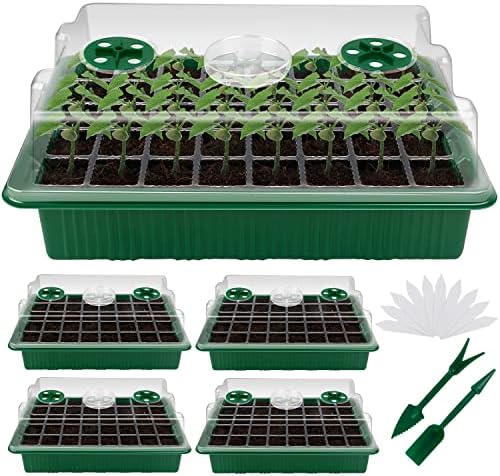 YAUNGEL Mini Serre pour Plantes, XL Intérieure Plateau Semis avec couvercles rehaussés, 38x24x12 CM Bac à semis Pépinière Boîte de Culture Durables, 4 Pièces 160 Cellules, Vert