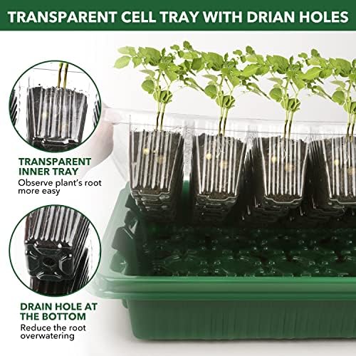 YAUNGEL Mini Serre pour Plantes, XL Intérieure Plateau Semis avec couvercles rehaussés, 38x24x12 CM Bac à semis Pépinière Boîte de Culture Durables, 4 Pièces 160 Cellules, Vert – Image 3