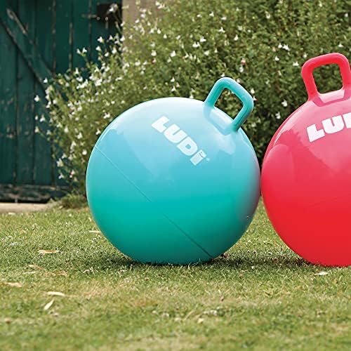 LUDI - Ballon Sauteur XXL Bleu - Jouet Sauteur Gonflable - Plastique PVC épais et résistant - Développe la motricité - Jouet d'intérieur et extérieur - Diamètre 55 cm - Dès 5 Ans – Image 6