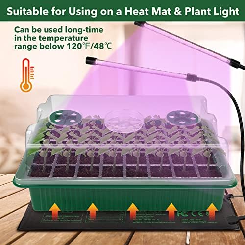 YAUNGEL Mini Serre pour Plantes, XL Intérieure Plateau Semis avec couvercles rehaussés, 38x24x12 CM Bac à semis Pépinière Boîte de Culture Durables, 4 Pièces 160 Cellules, Vert – Image 6