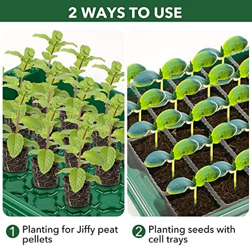 YAUNGEL Mini Serre pour Plantes, XL Intérieure Plateau Semis avec couvercles rehaussés, 38x24x12 CM Bac à semis Pépinière Boîte de Culture Durables, 4 Pièces 160 Cellules, Vert – Image 5