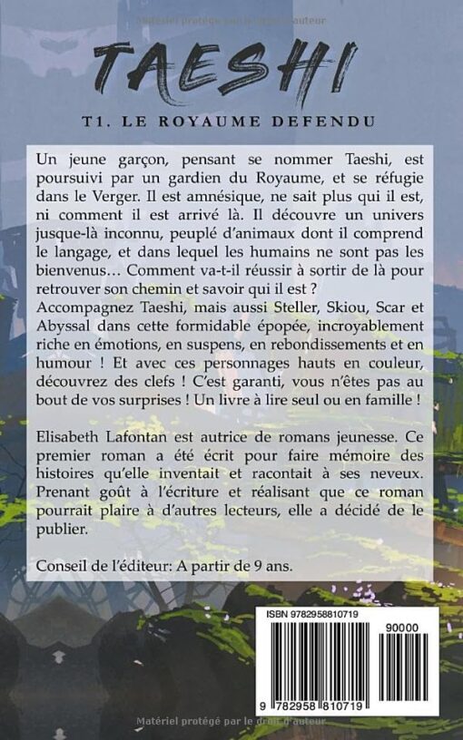 Taeshi : Le royaume défendu – Image 2