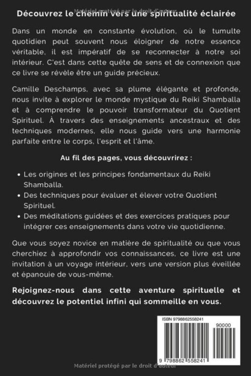 Reiki Shamballa et Quotient Spirituel: Des techniques ancestrales pour un bien-être moderne – Image 2