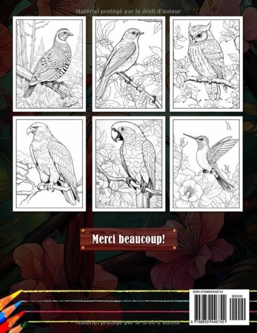 Livre de Coloriage Beaux Oiseaux: Grands dessins faciles à colorier pour les personnes âgées et les enfants | cahier de coloriage pour les débutants | Idée de cadeau pour personne âgée – Image 2