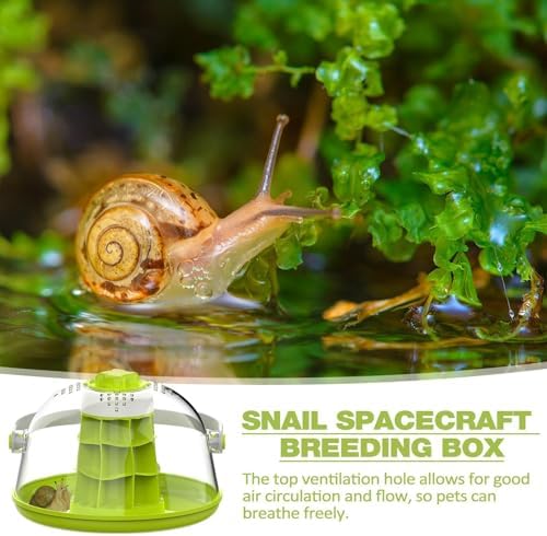 Terrarium pour Reptiles en Verre - Cage D'habitat De Lézard De Terrarium | Boîte D'élevage D'escargots, Maison De Reptiles, Réservoir D'élevage De Reptiles pour Escargots, À Soie, Tortues, P – Image 2