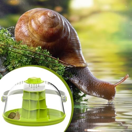 Terrarium pour Reptiles en Verre - Cage D'habitat De Lézard De Terrarium | Boîte D'élevage D'escargots, Maison De Reptiles, Réservoir D'élevage De Reptiles pour Escargots, À Soie, Tortues, P – Image 3