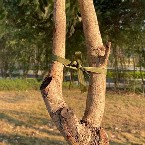 Tenn Well Sangles de Fixation pour Arbre de Jardin, 20M Sangle de Soutien en Nylon Solide pour Grandes Plantes, Piquets, Greffes et Lissage (Vert) – Image 6
