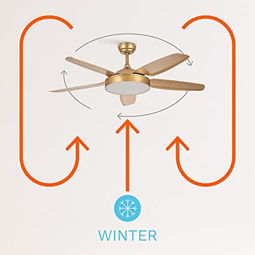 CREATE / WINDFLAT/Ventilateur de plafond avec lumière, Wifi et télécommande, or / 40W, Silencieux, Ø132 cm, 6 vitesses, minuterie 1 à 4h, été-hiver, double hauteur, moteur DC – Image 6