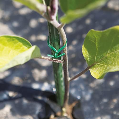 Tenax Liens en Plastique Armés et Prédécoupés, 10 cm, Couleur Verte, Paquet de 100 pièces, Fil en Acier Recouvert de PVC pour Ligatures, Plantes et Fleurs, Fermetures de Sacs et Paquets – Image 2