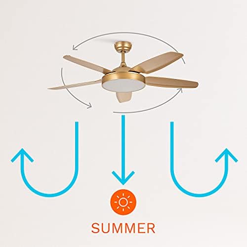 CREATE / WINDFLAT/Ventilateur de plafond avec lumière, Wifi et télécommande, or / 40W, Silencieux, Ø132 cm, 6 vitesses, minuterie 1 à 4h, été-hiver, double hauteur, moteur DC – Image 5