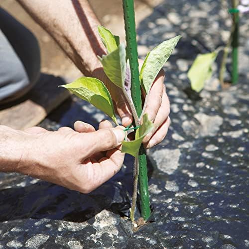 Tenax Liens en Plastique Armés et Prédécoupés, 10 cm, Couleur Verte, Paquet de 100 pièces, Fil en Acier Recouvert de PVC pour Ligatures, Plantes et Fleurs, Fermetures de Sacs et Paquets – Image 3