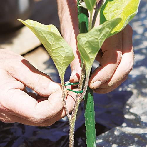 Tenax Liens en Plastique Armés et Prédécoupés, 10 cm, Couleur Verte, Paquet de 100 pièces, Fil en Acier Recouvert de PVC pour Ligatures, Plantes et Fleurs, Fermetures de Sacs et Paquets – Image 4